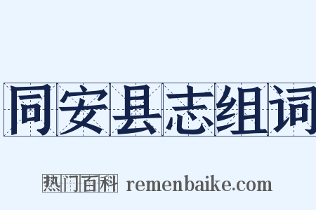 同安县志组词是什么意思的图片